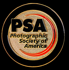 PSA Gold Medal